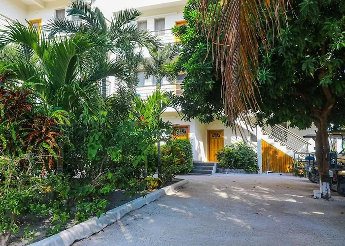 Сasa de vacaciones Oceanfront With Pool Gorgeous Ocean Views Wifi & Partial Ac *